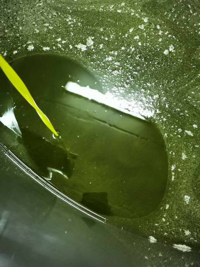 Mountains in the Clouds