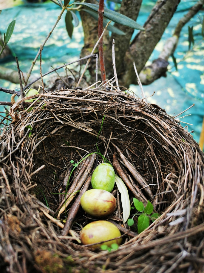 Wintry Mountain Landscape