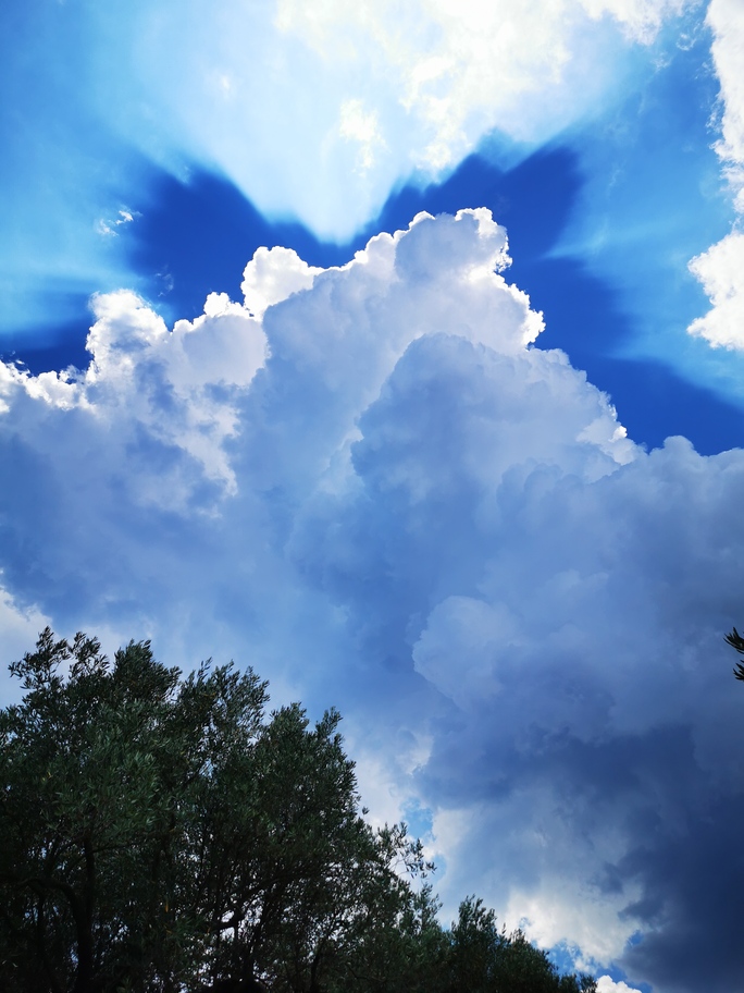 Yosemite National Park