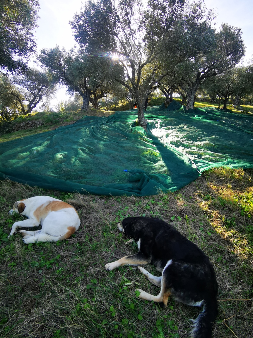 Yosemite National Park