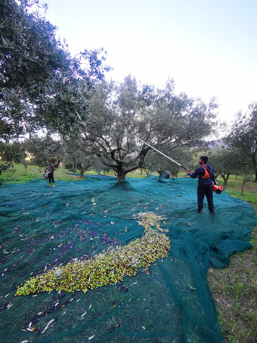 Mountains in the Clouds