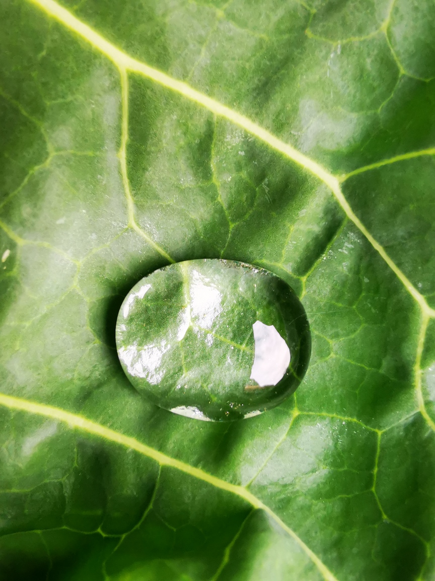 Wintry Mountain Landscape