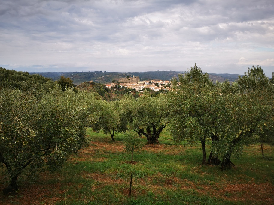 Dieta Mediterranea e Olio Extravergine